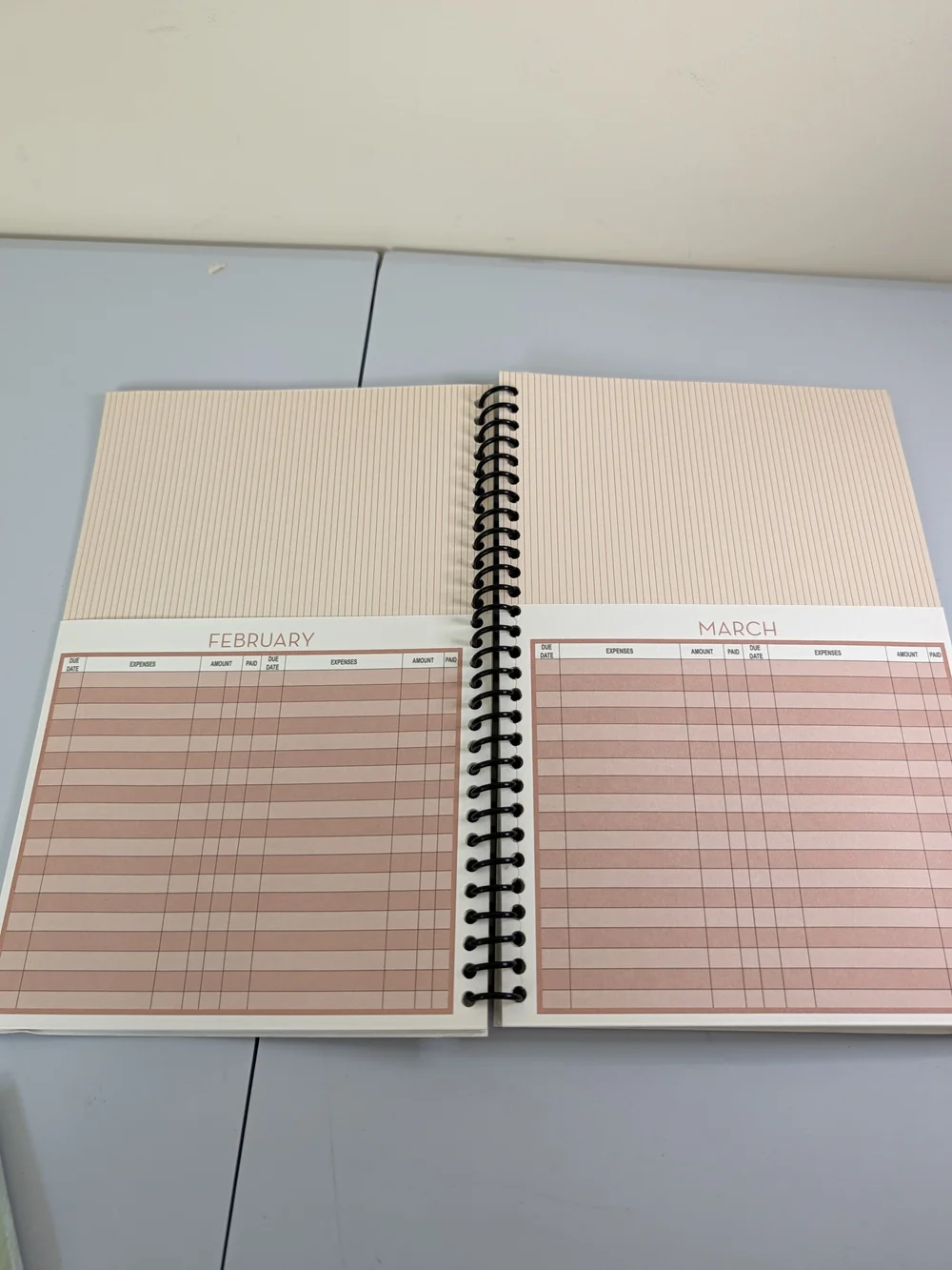 B27 Home Finance Bill Organizer - Blush Pink